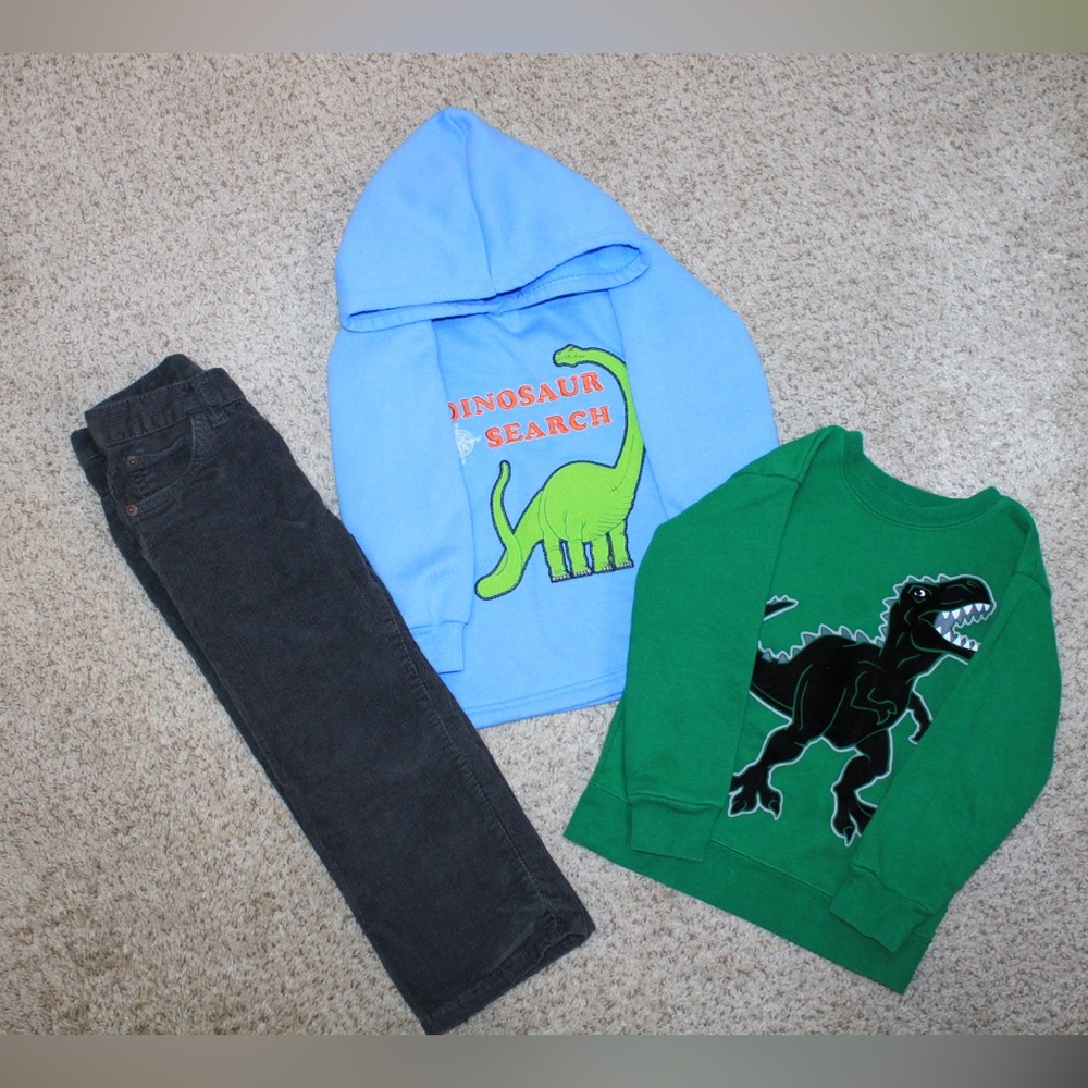 Toddler Boy 3T Sweatshirt and Pant Bundle - Dinosaur Hoodie & Sweatshirt